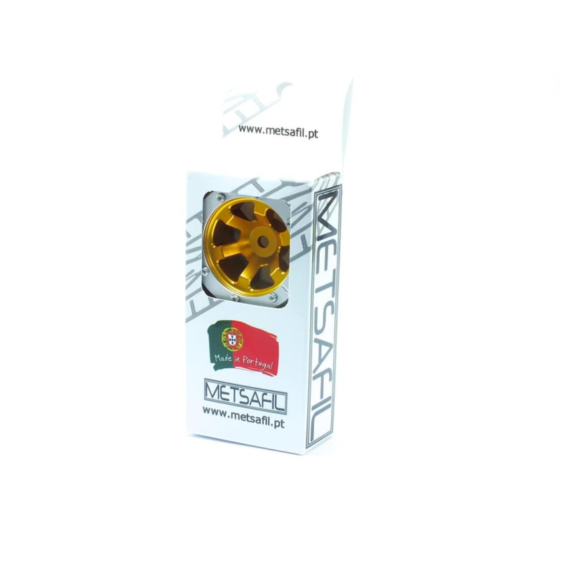 Beadlock Wheels PT- Claw Gold/Silver 1.9